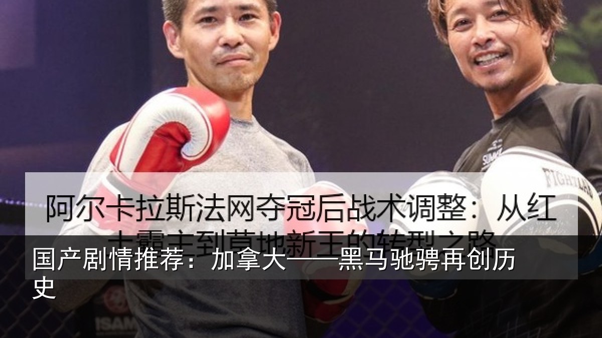 国产剧情推荐:加拿大——黑马驰骋再创历史