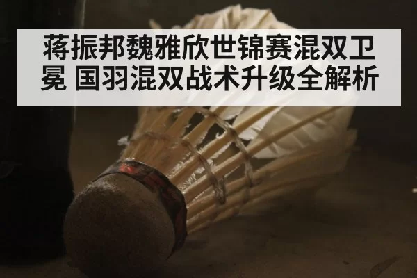 蒋振邦魏雅欣世锦赛混双卫冕 国羽混双战术升级全解析